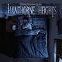 Hawthorne Heights – If Only You Were Lonely